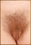 Ready for pleasure:Hairy Treasure 11 7